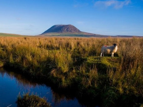 Slemish Mountain